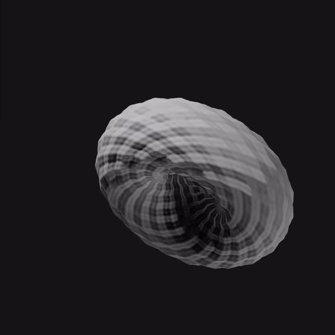 Torus Experiment 4