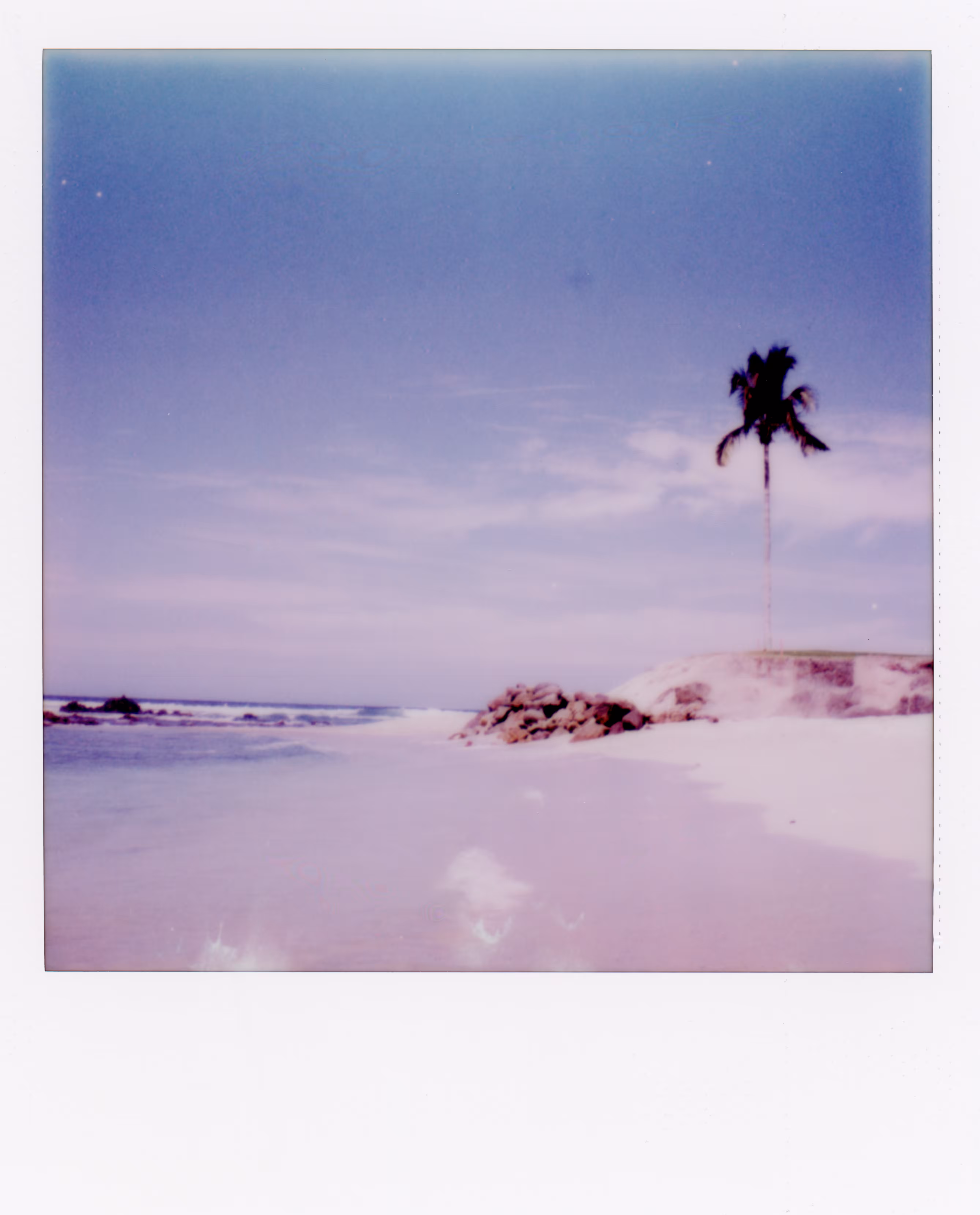 Pastel Paradise
