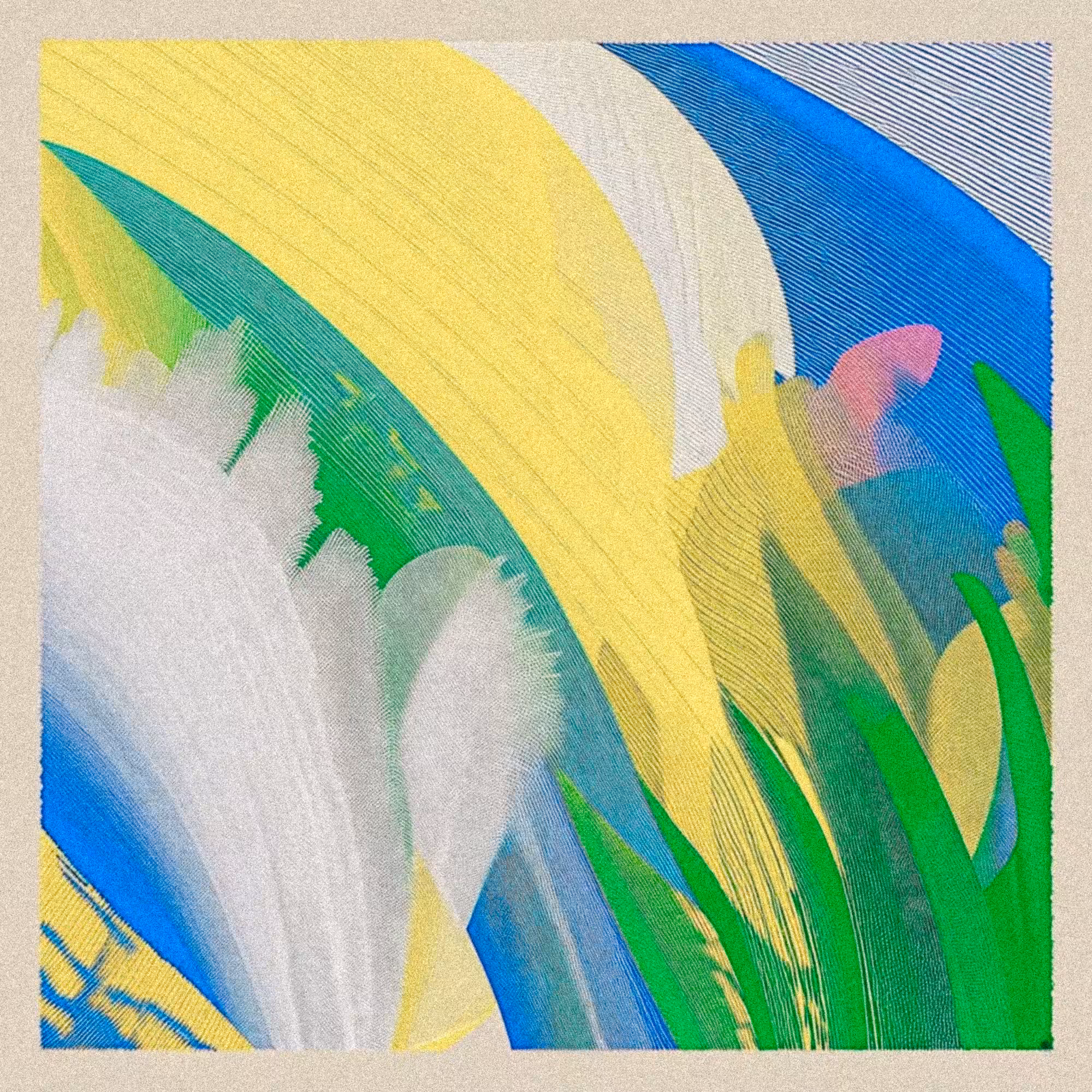 SUPER RARE: Free Flow Collection #39