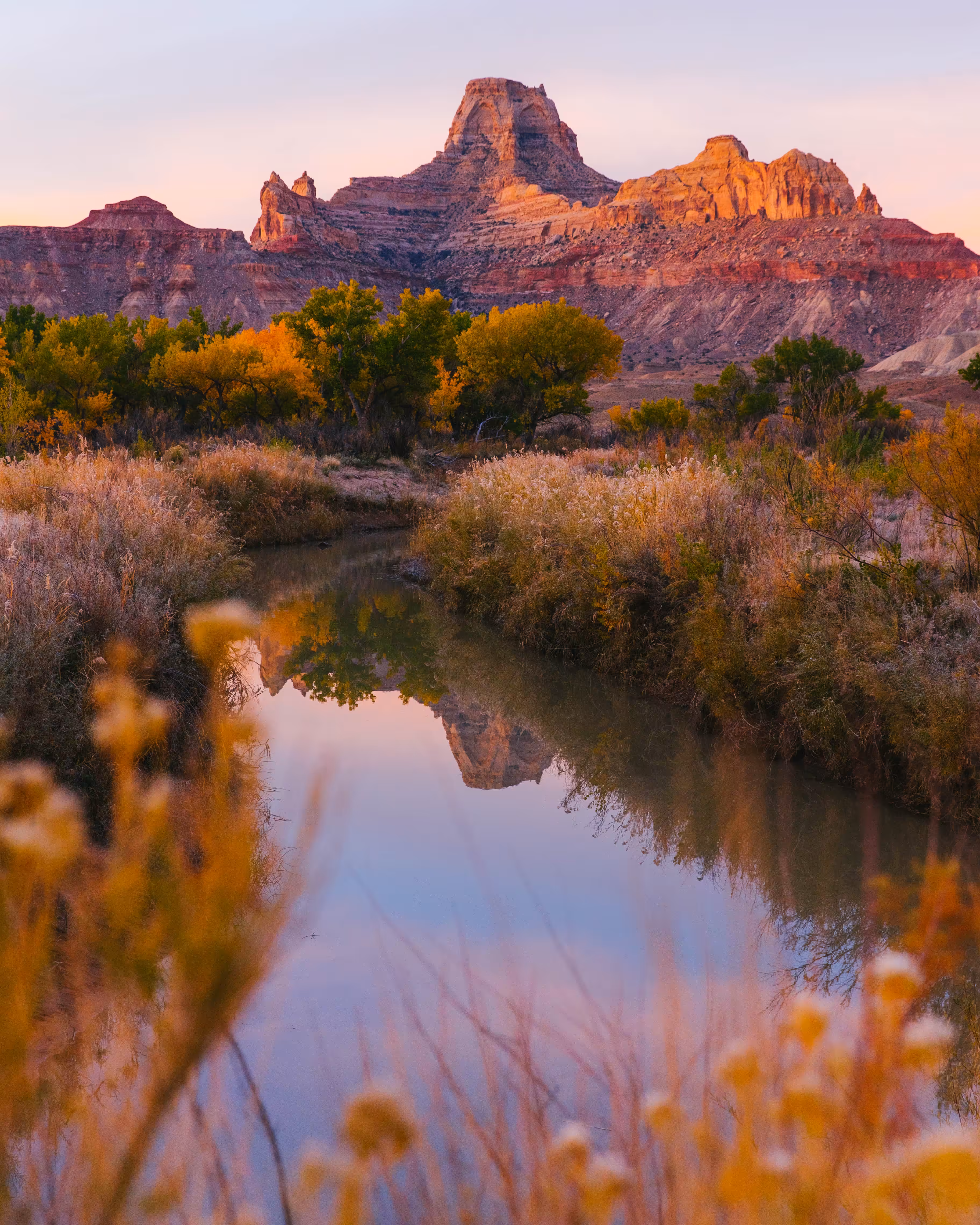 Serenity 