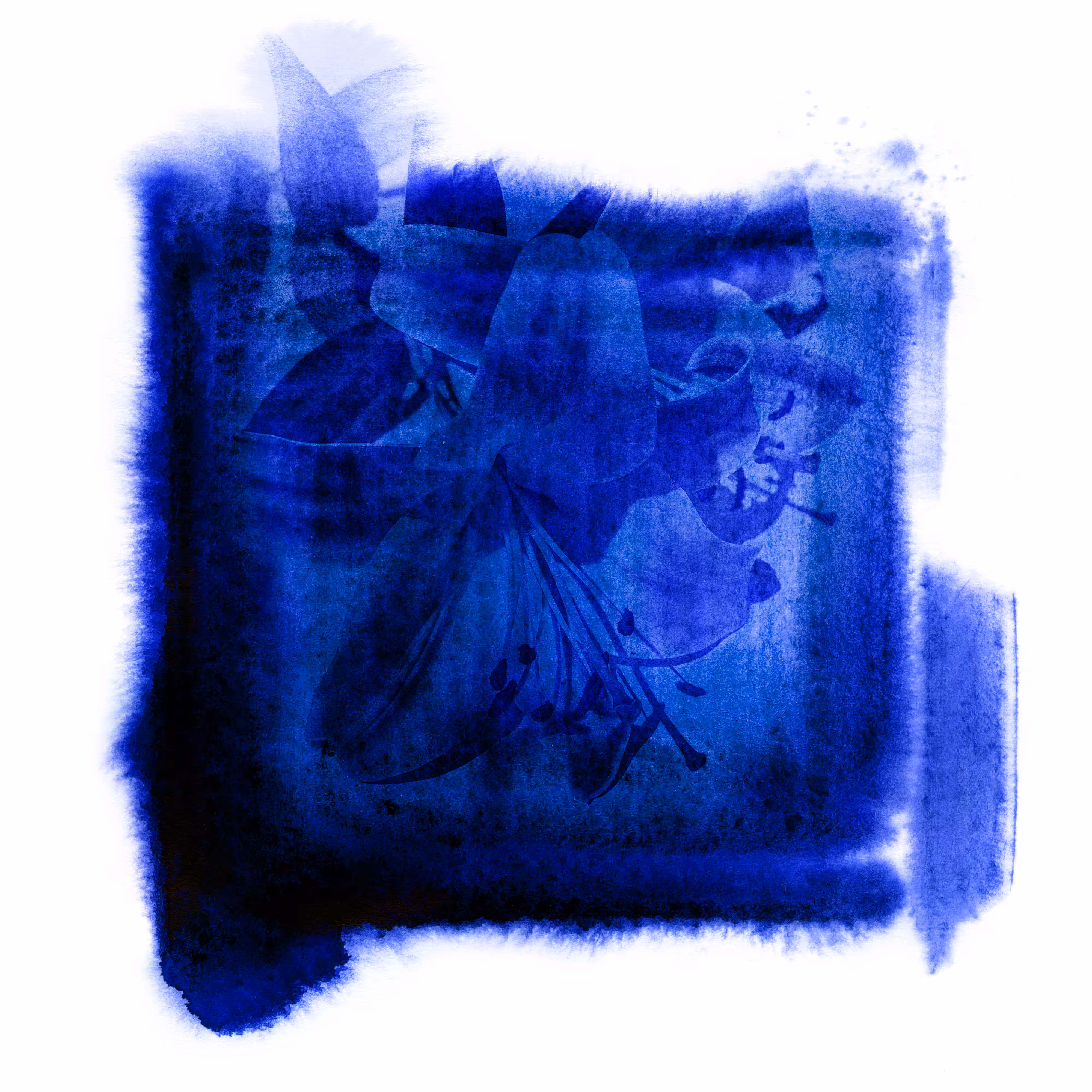 Blues garden #15