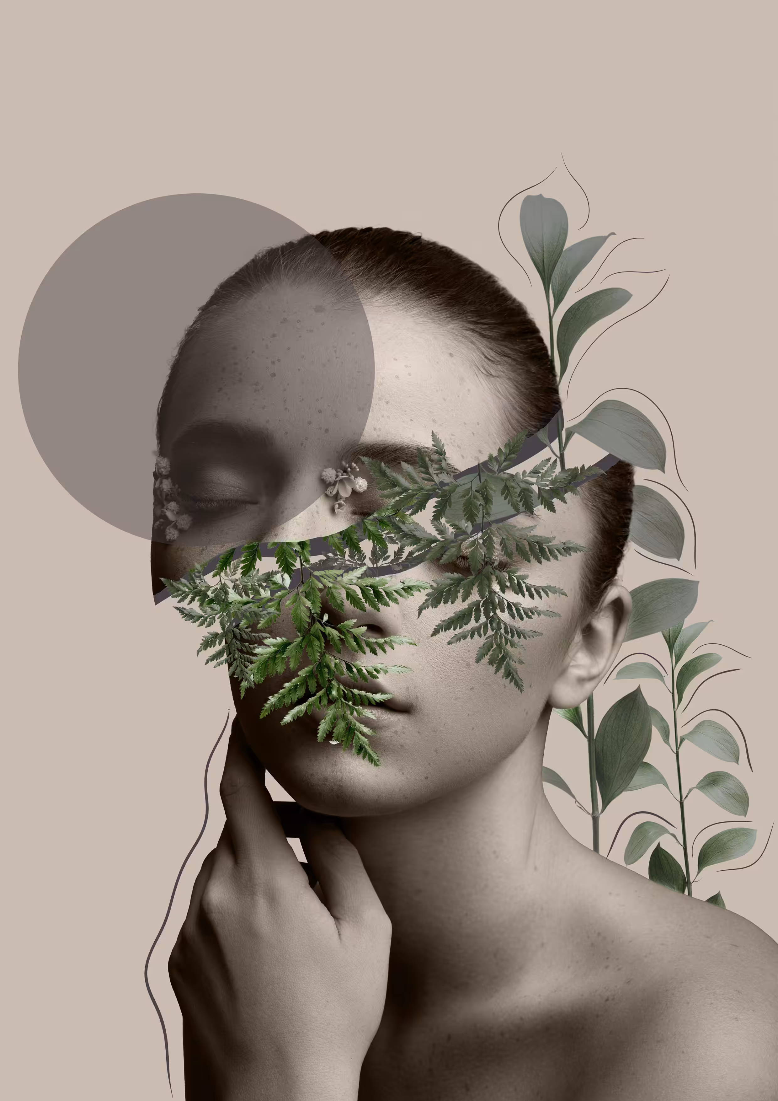 Lili Collection Creative Series (Part 3)
