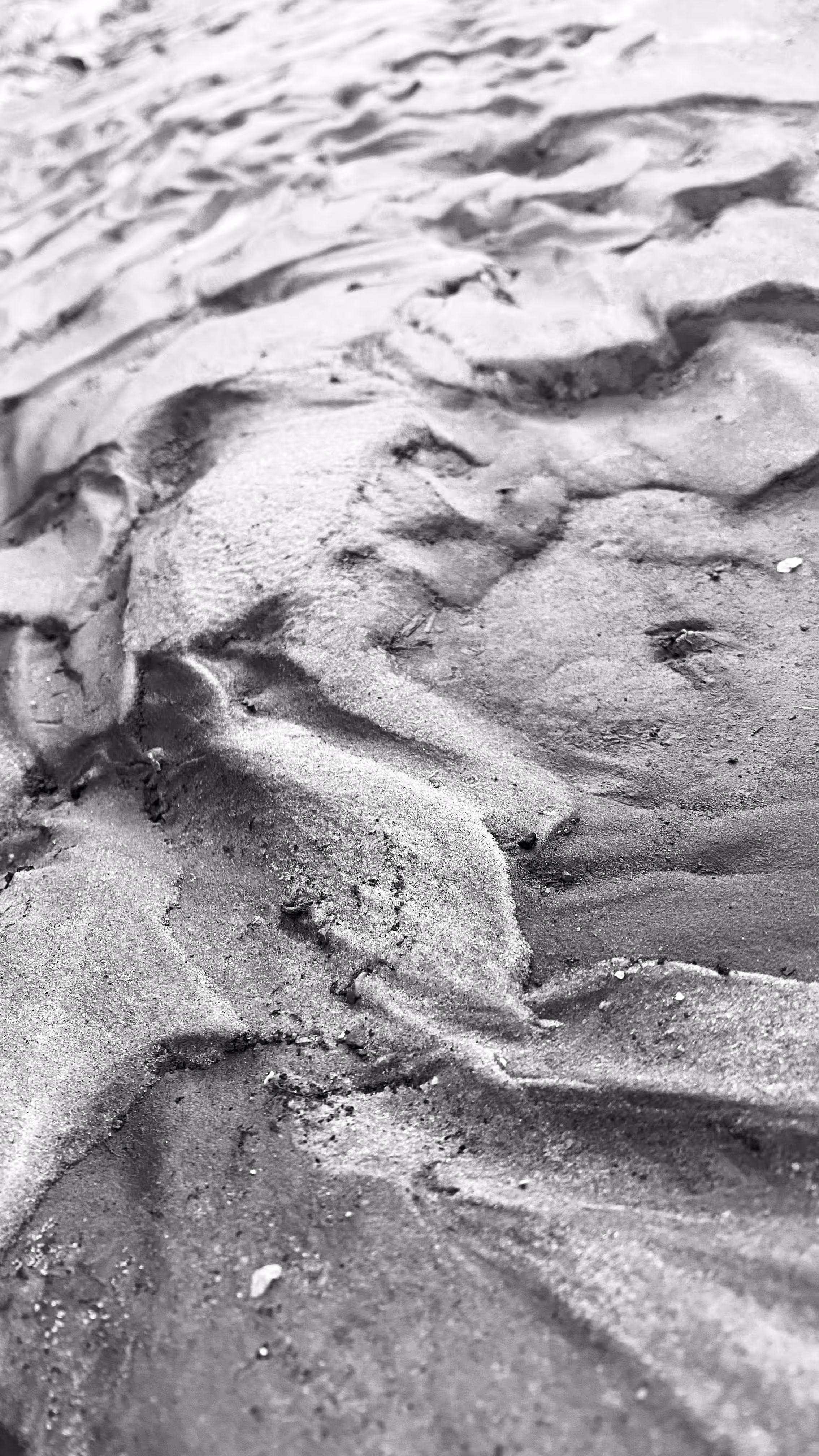 Scaly surface
