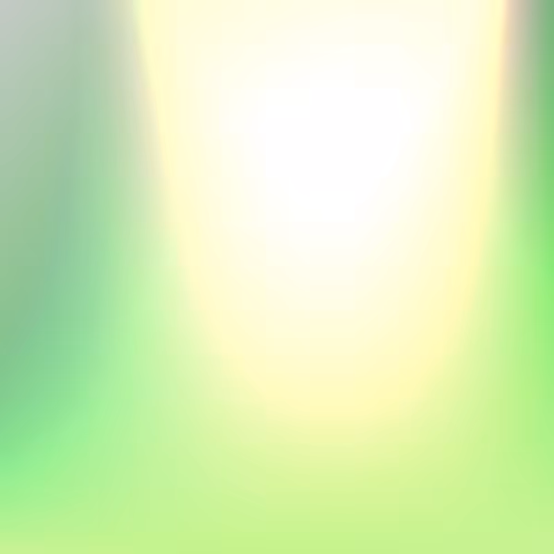 VIBE #81
