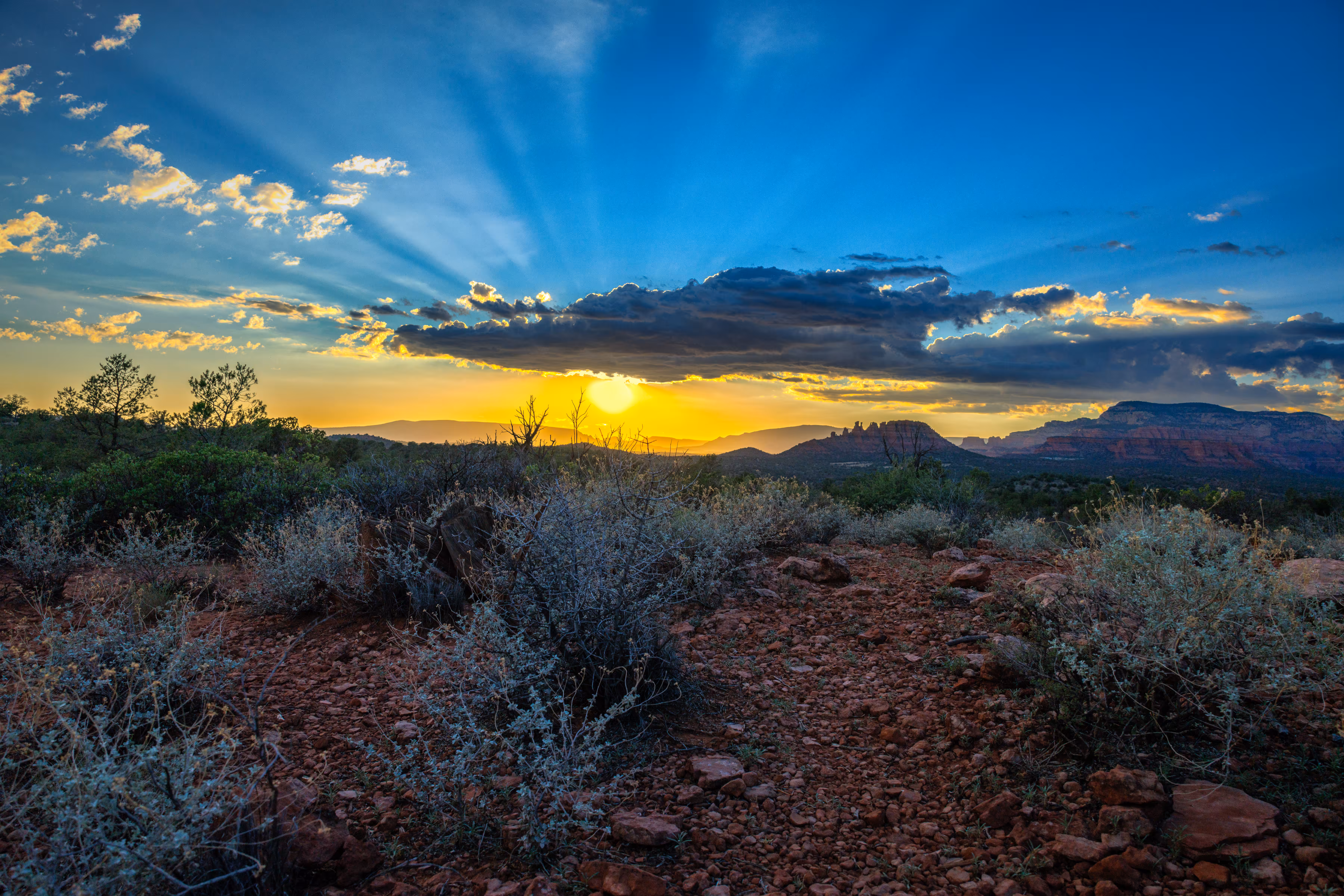 Coconino Sunset