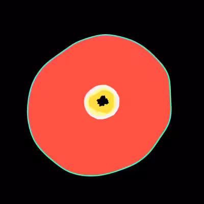 Black Hole Cell #2