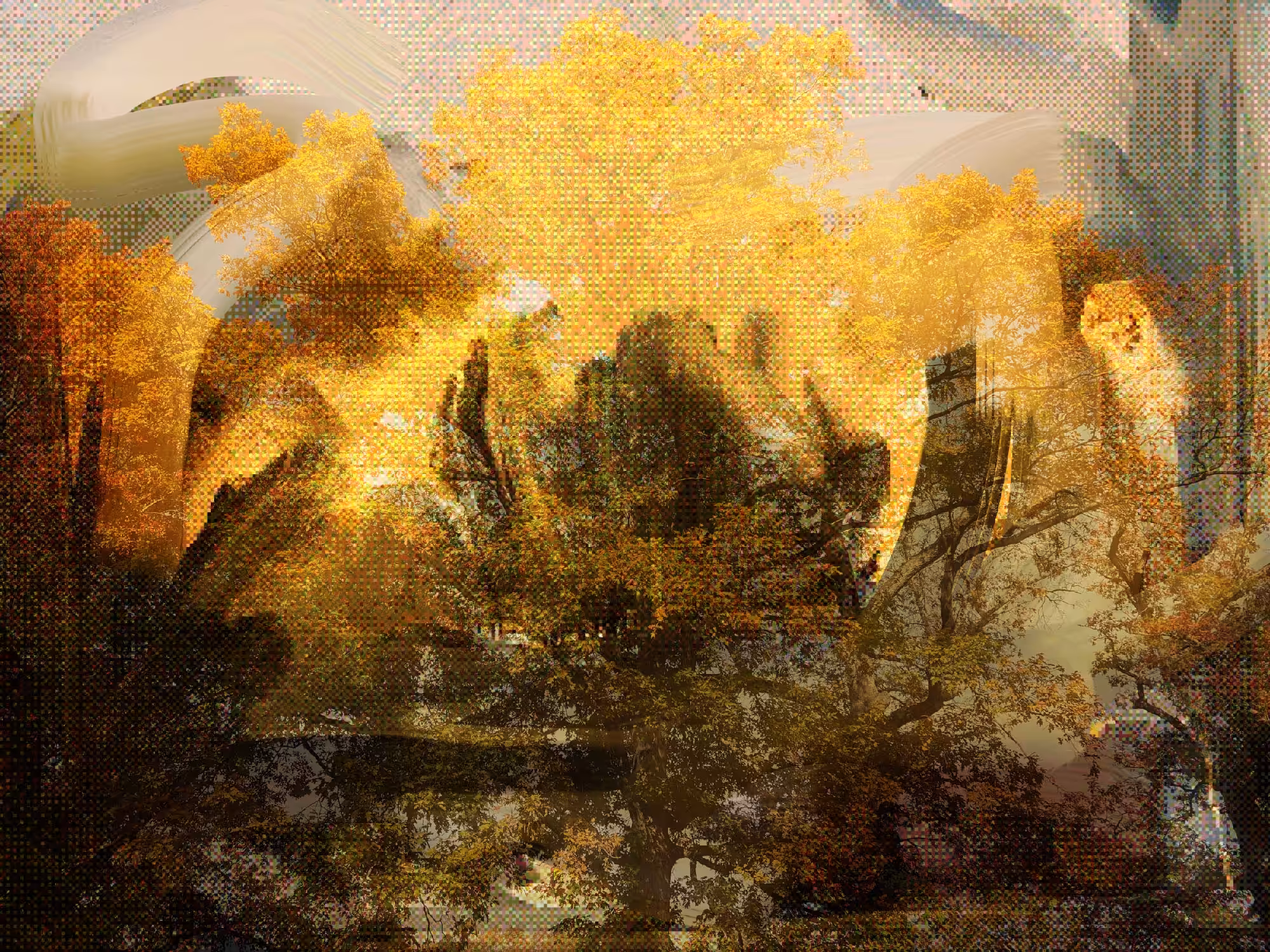 Composite Fall