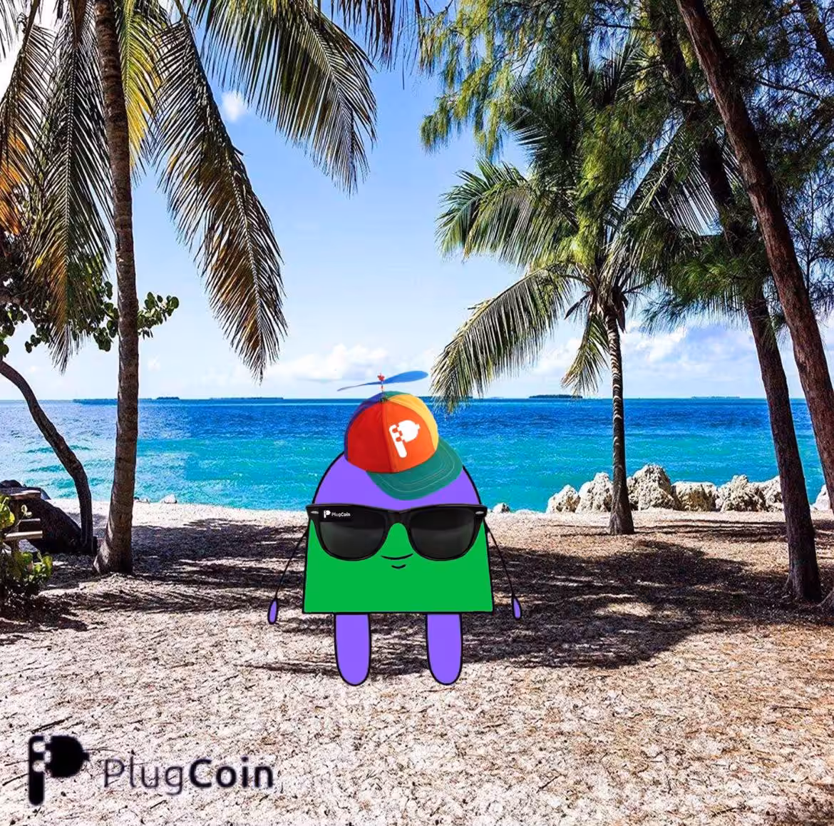 PlugMint - Learn to Mint (Beach Edition) #013