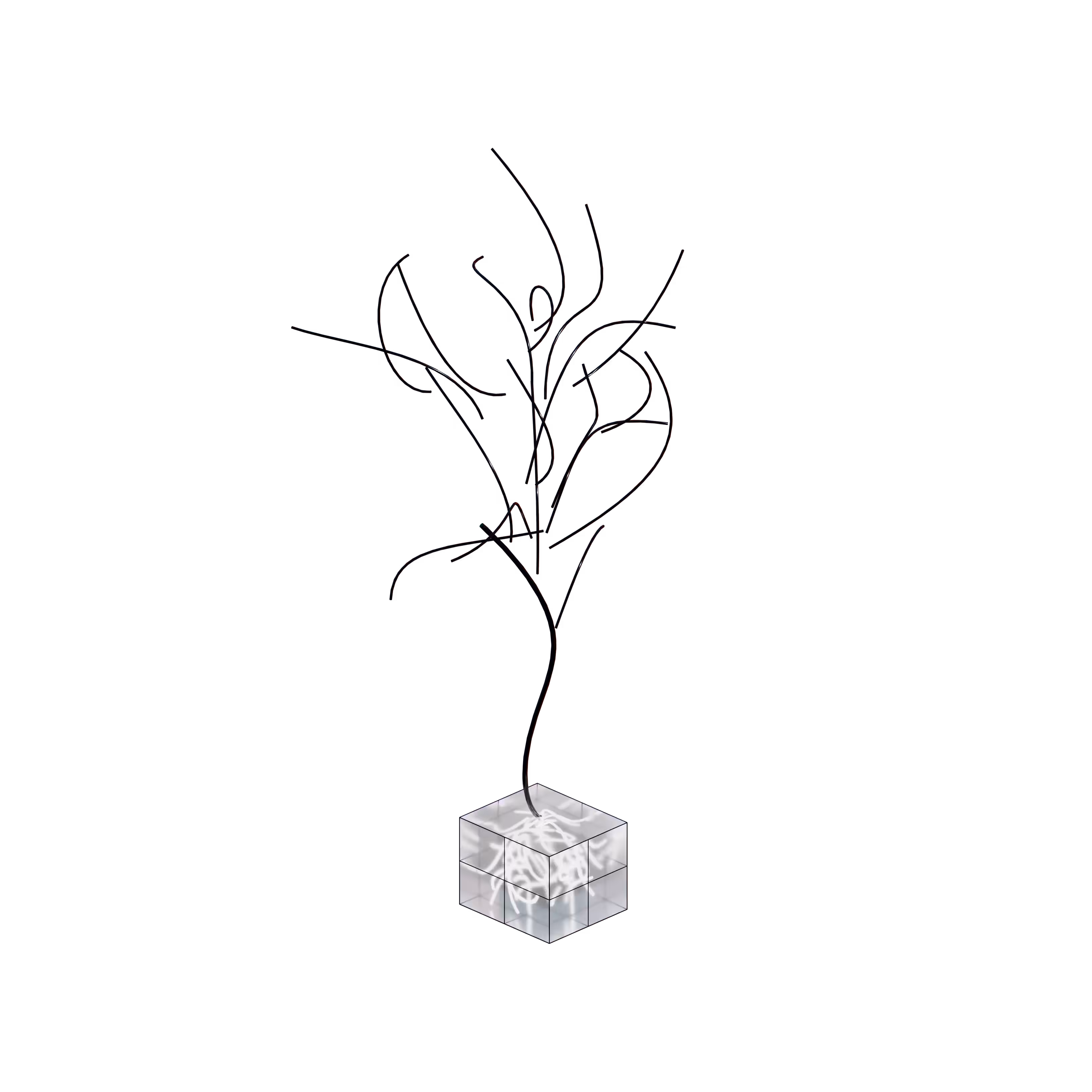 DFW Design: me-tree-x BLCK