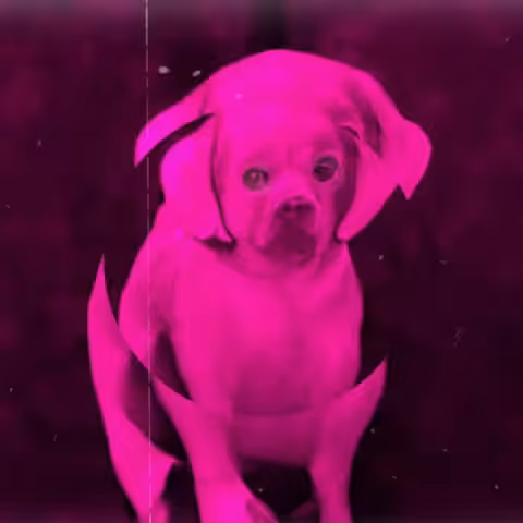 He Knows When You’re Awake