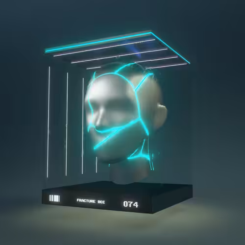 Fracture Boi: FRACTURE BOI - 074