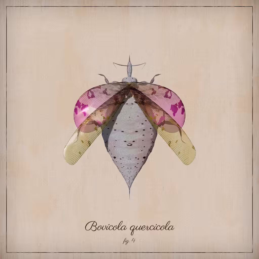 ProcGen Entomology #367