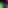 Flowers - Calla Lily