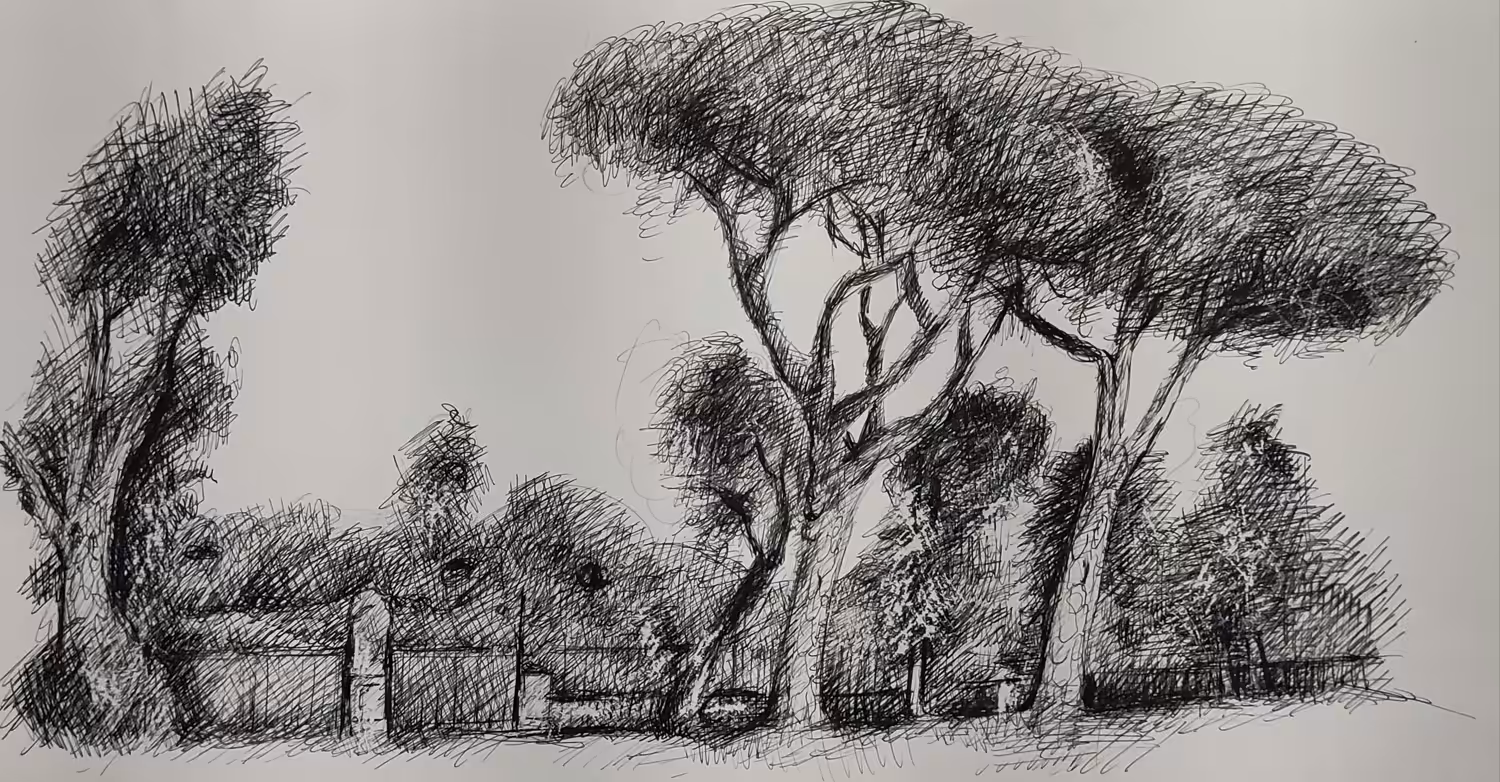The Park
