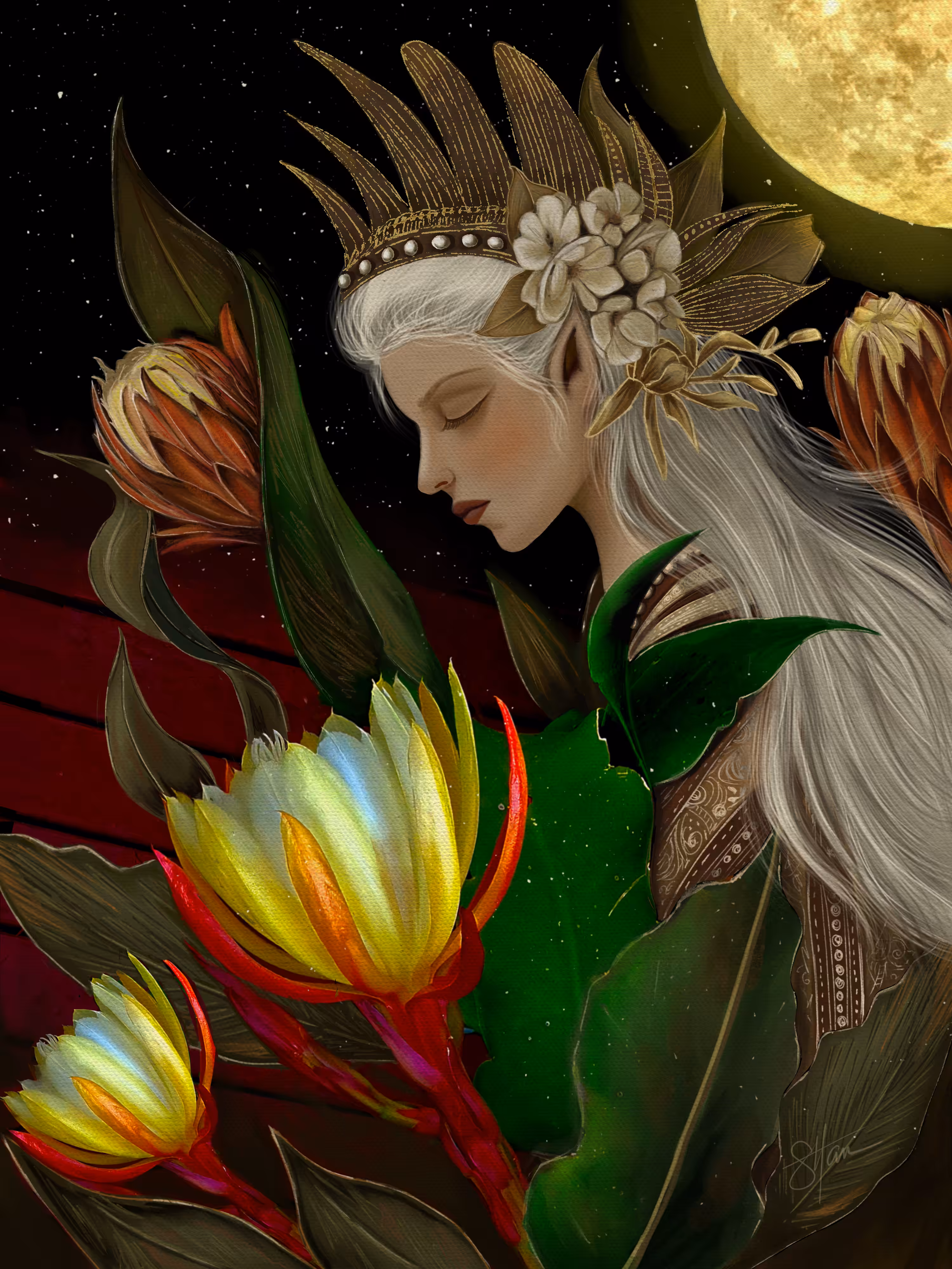 Queen of the Night