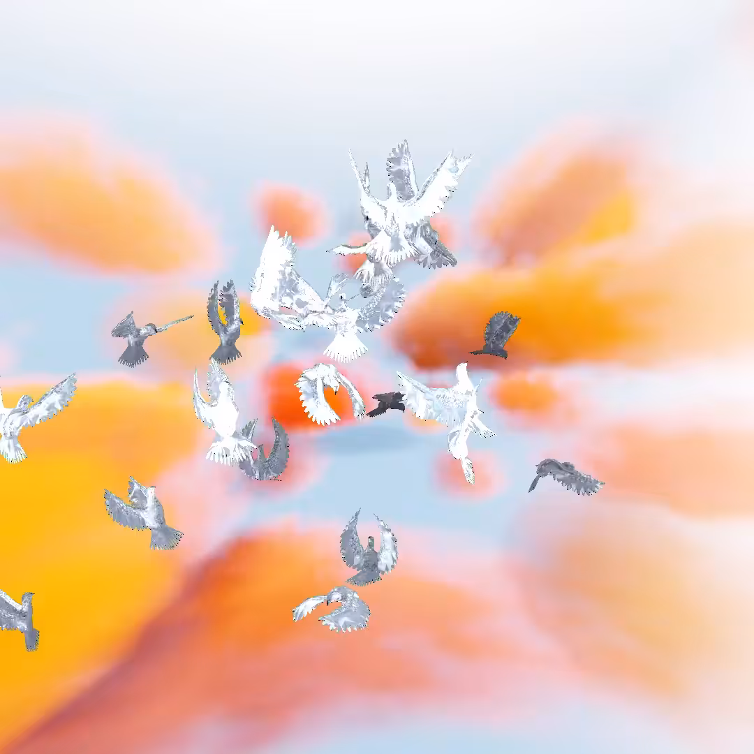 Cloud #19: The Warm Sky Coins Character With the Doves.