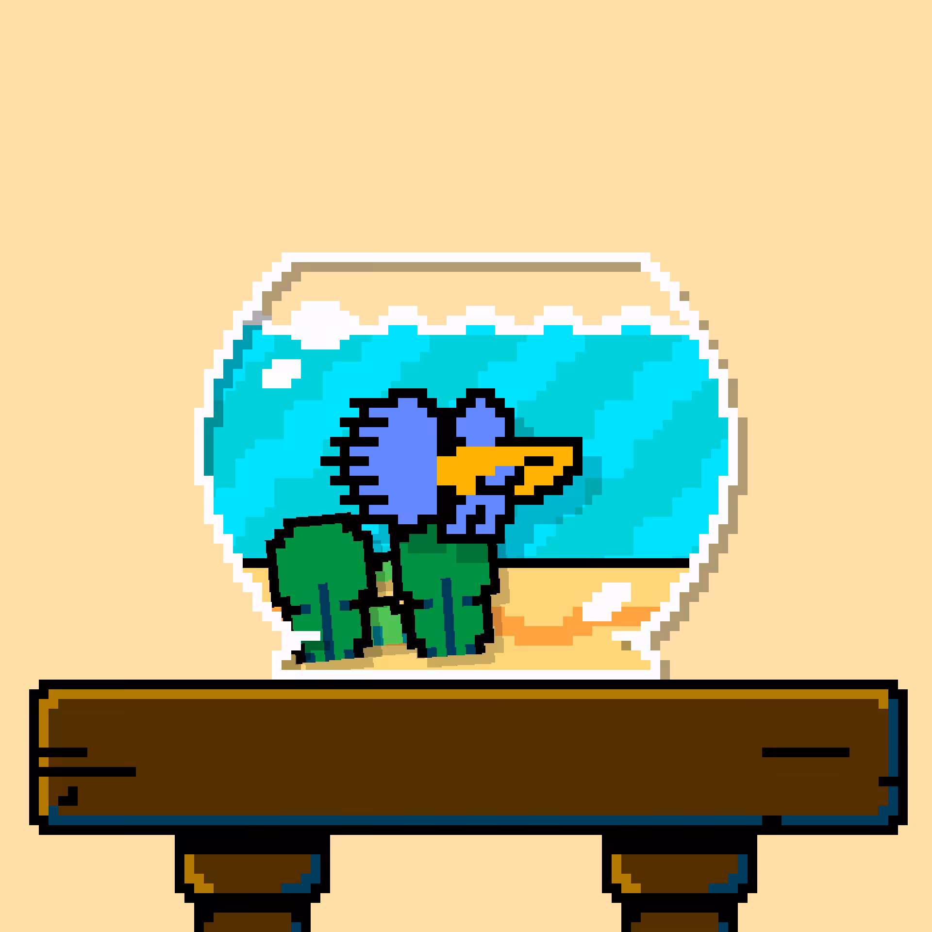 betta fish #146