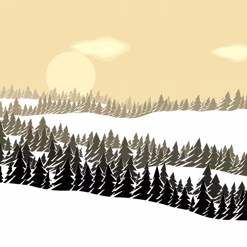 Winterland #161