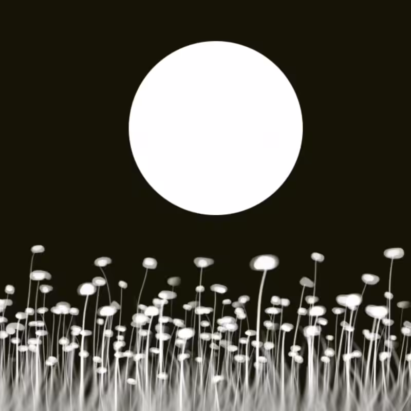 Moon #1