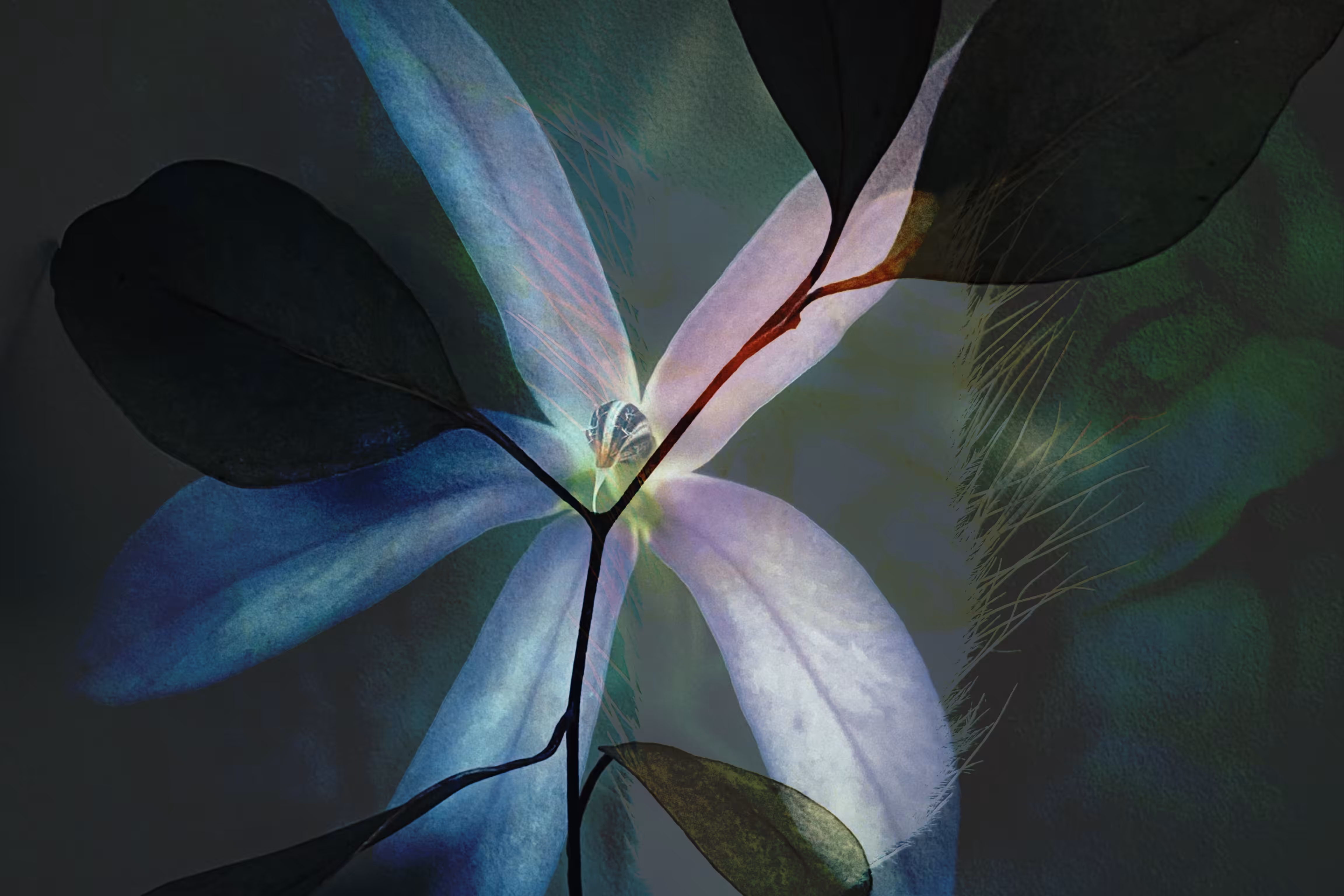 Blue Star Collision 