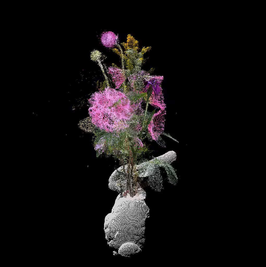top3, Bouquet for Cyberware 3030 MS (Stanford Bunny)