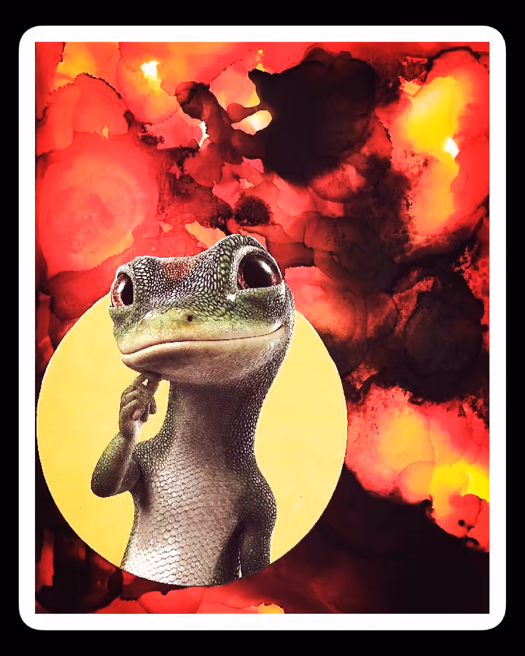 Call Gecko 🦎 
