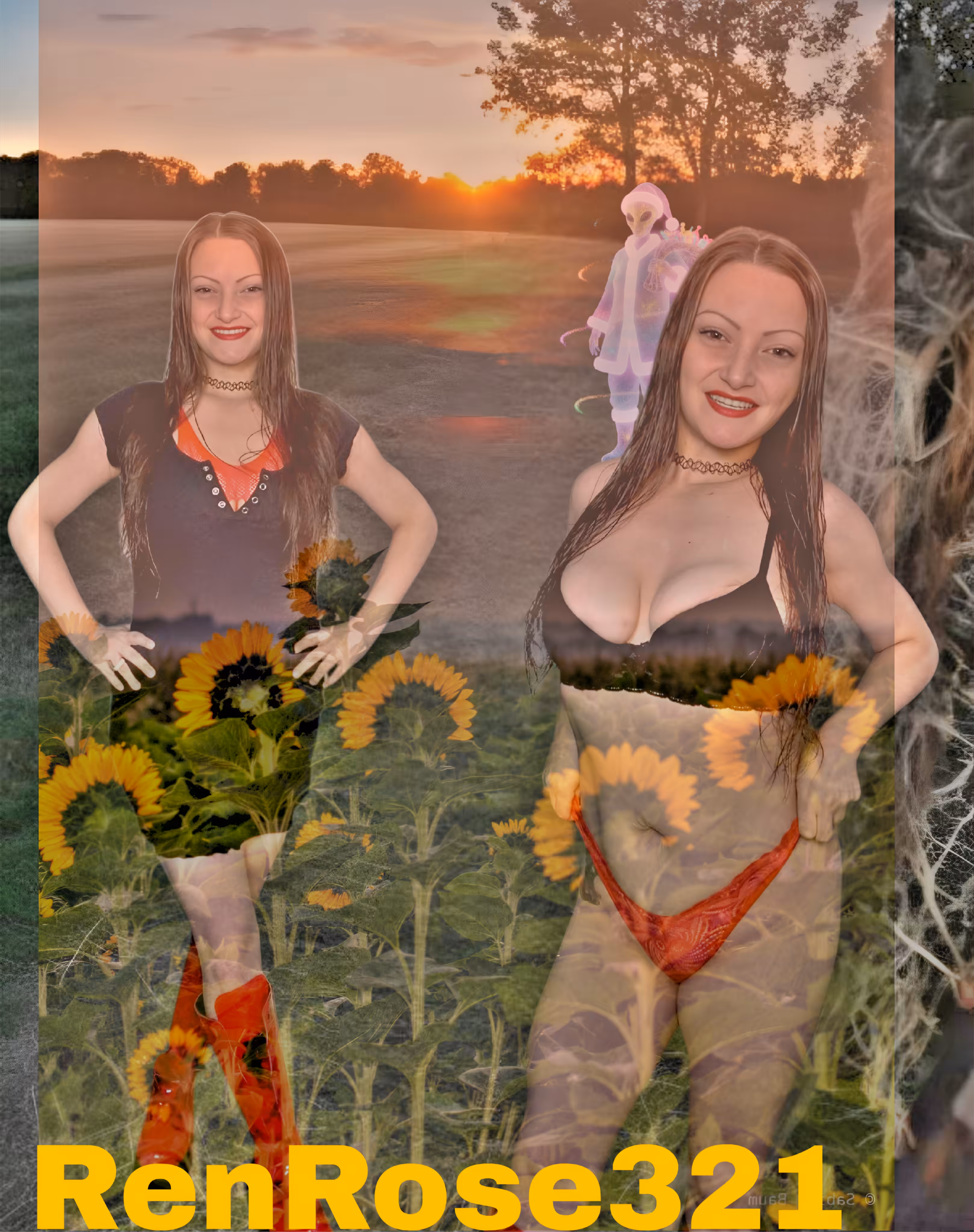 Sunflower Echoes: RenRose321 #1