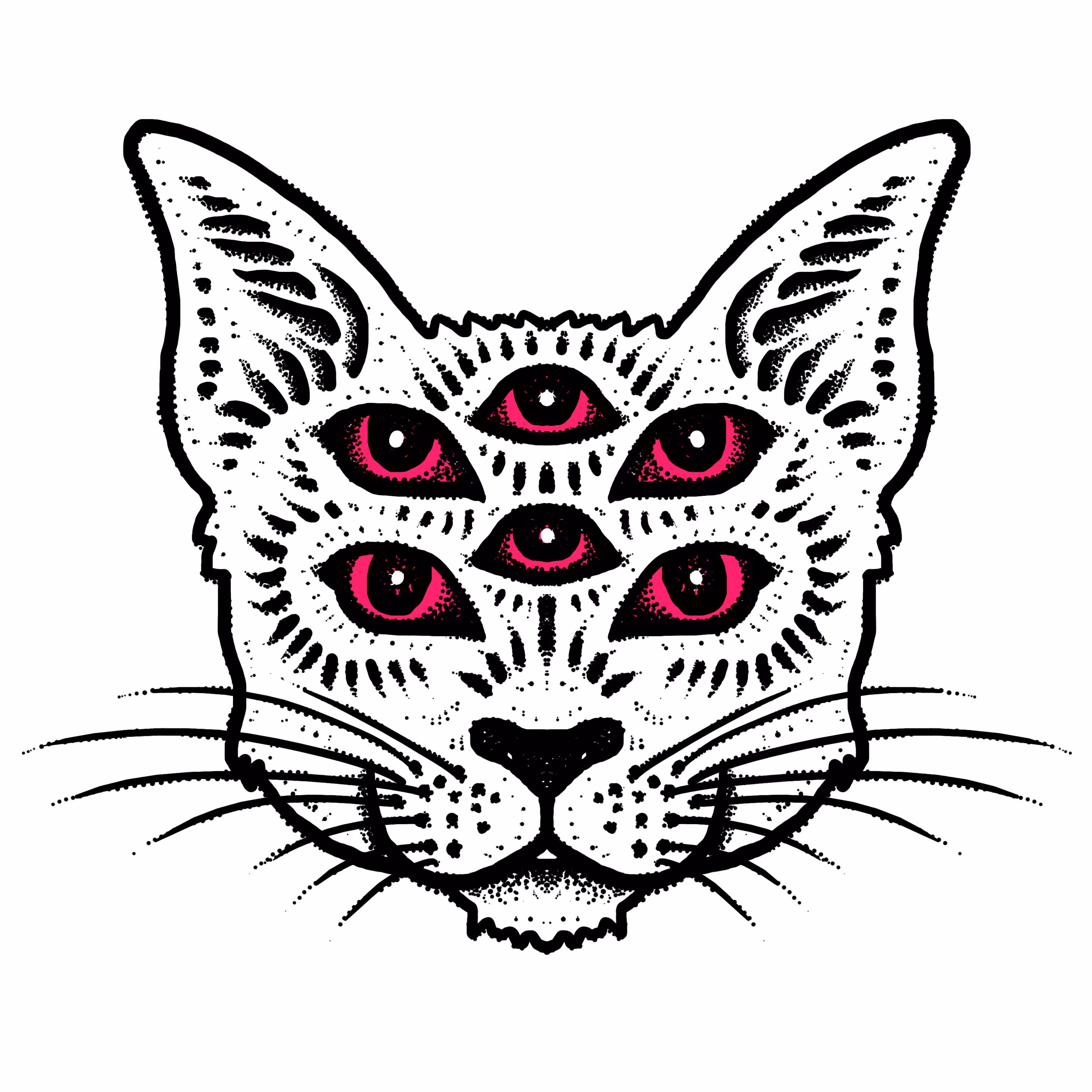 Six Eye Cat