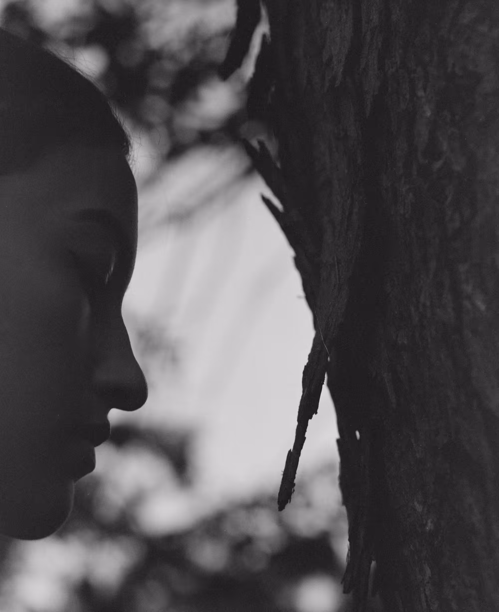 conversations with a tree and me