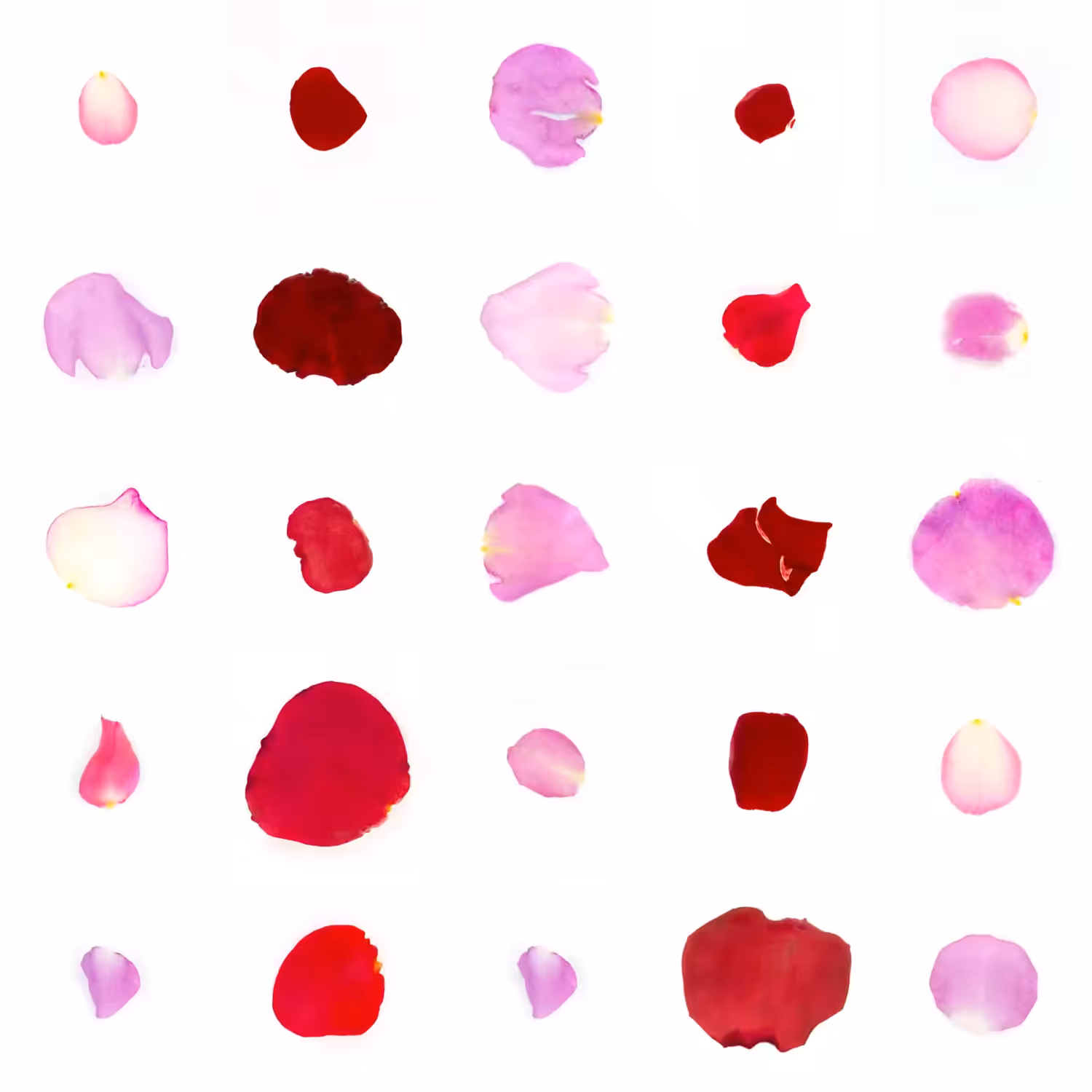 Infinite Petals 5x5#20309