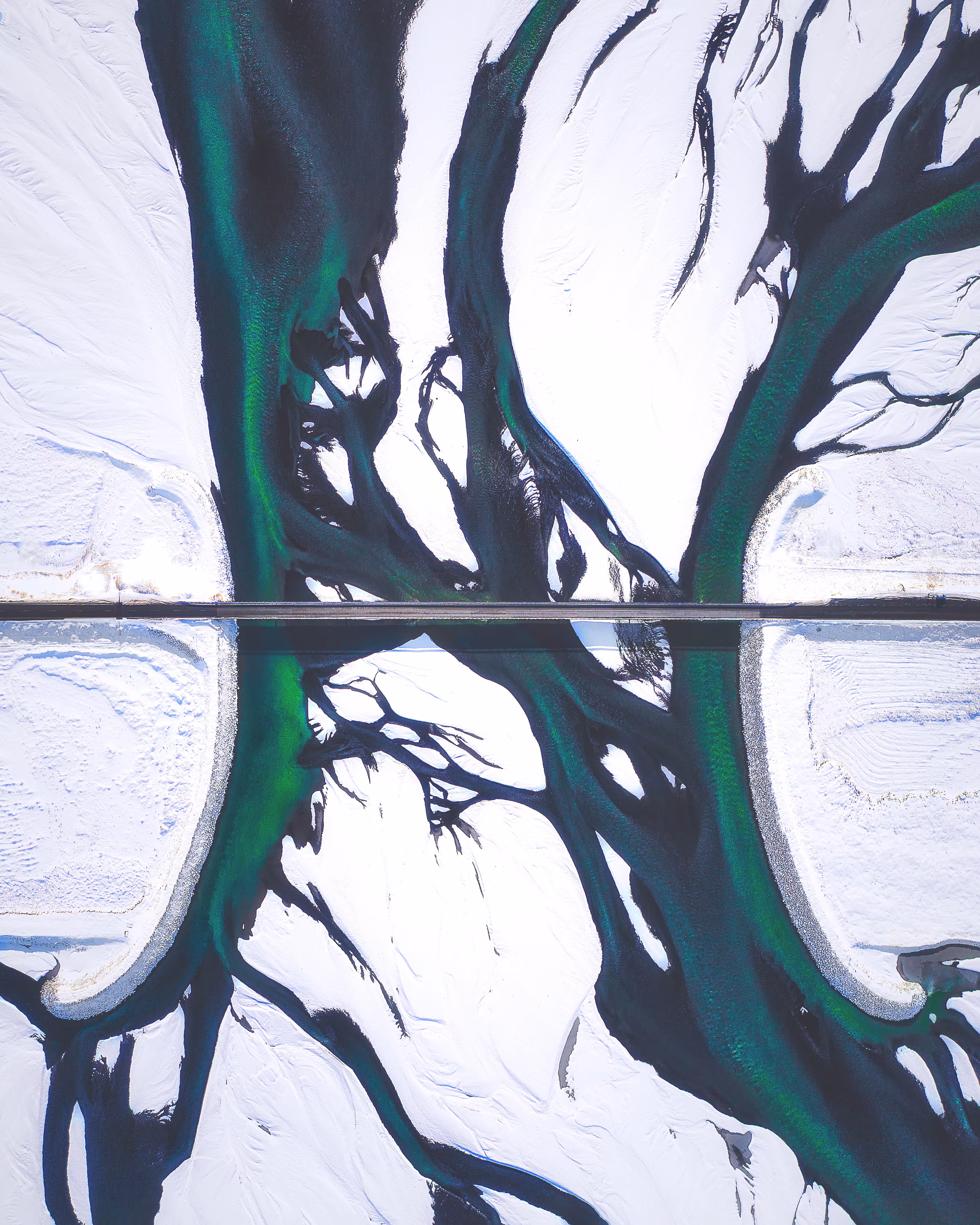 NATURE'S ABSTRACT