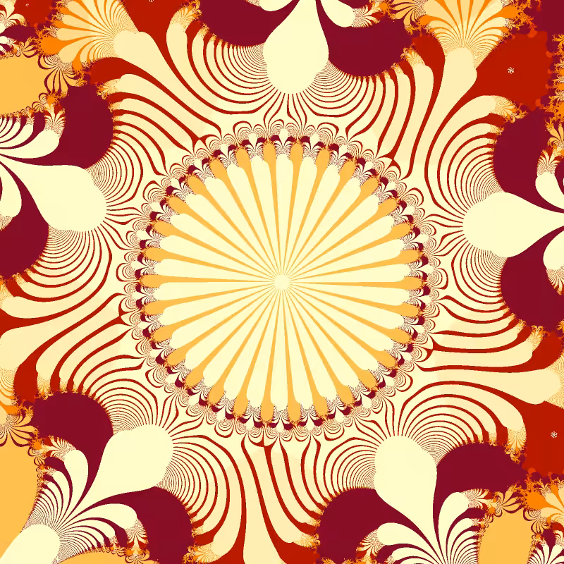 Carousel #80