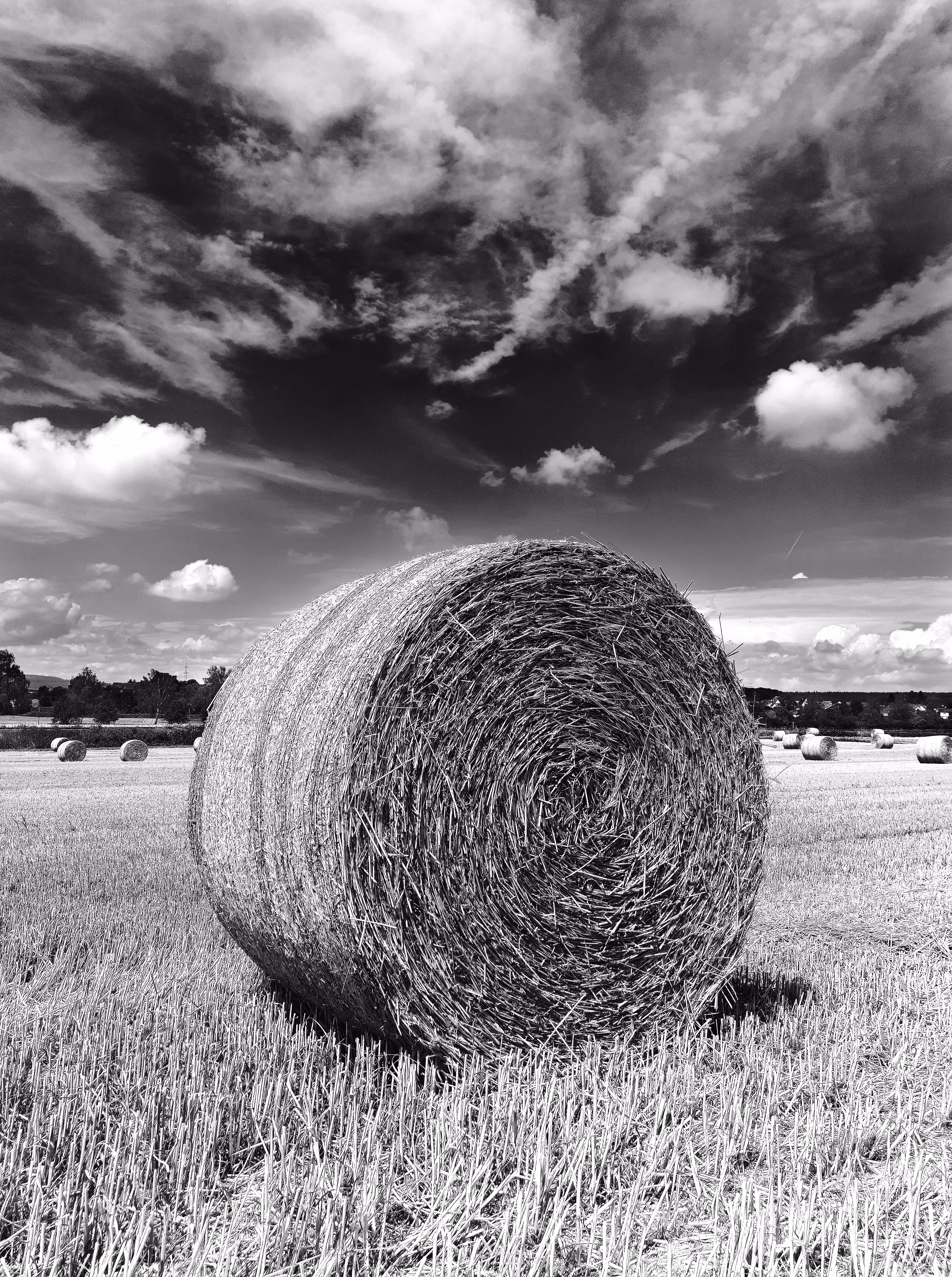 simply black&white: Between Earth and Sky