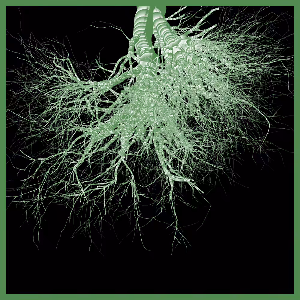 Arbres suspendus #42