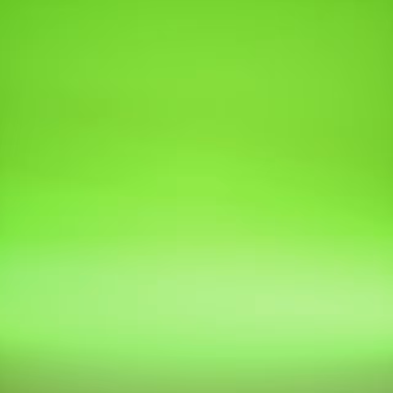 Soft Burger XXL (GREEN)