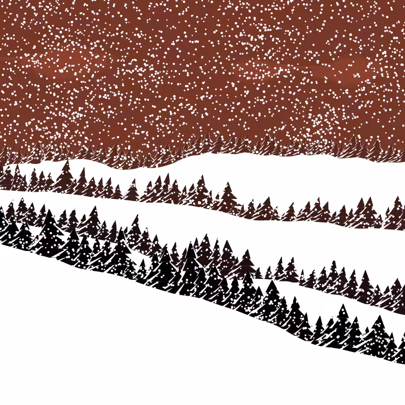 Winterland #86