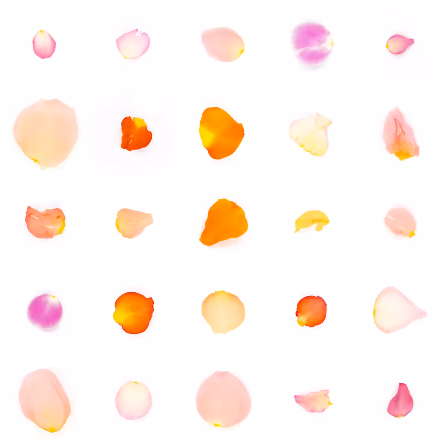 Infinite Petals 5x5#21228