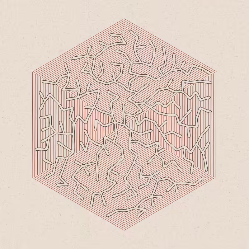 Burrow #5