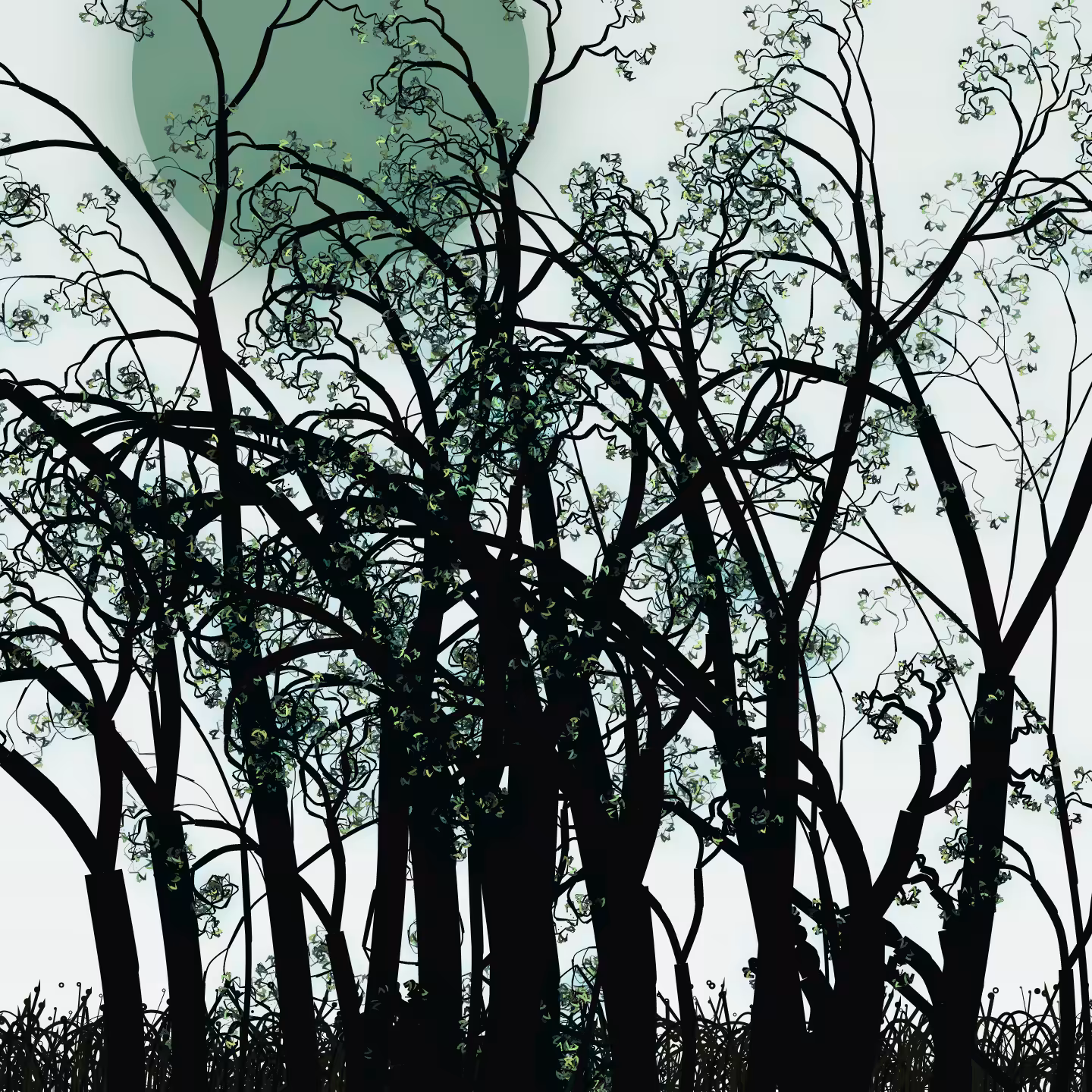 Wildwood Forest