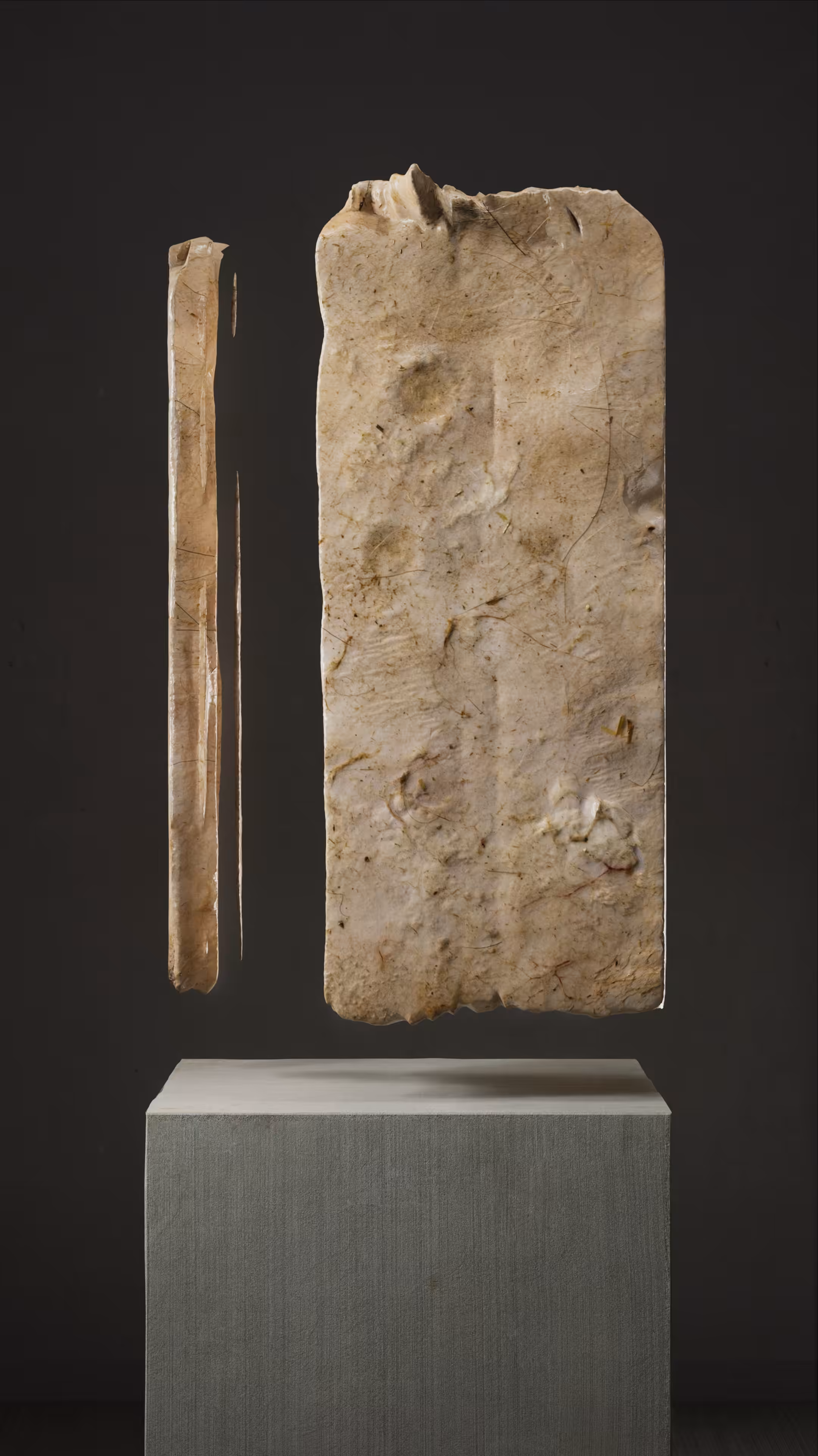 ULTRASOUND DATA SCULPTURES #71