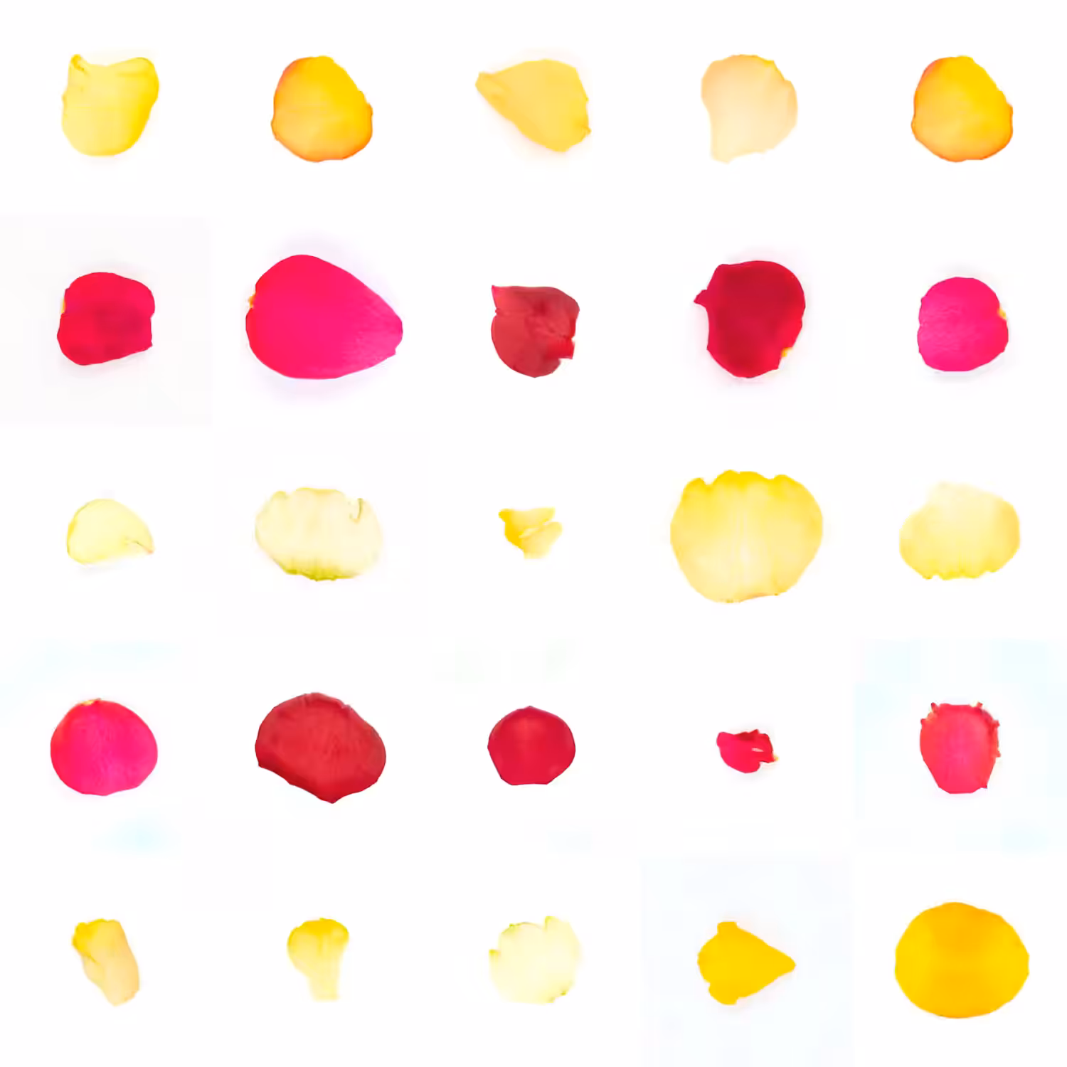 Infinite Petals 5x5#20103