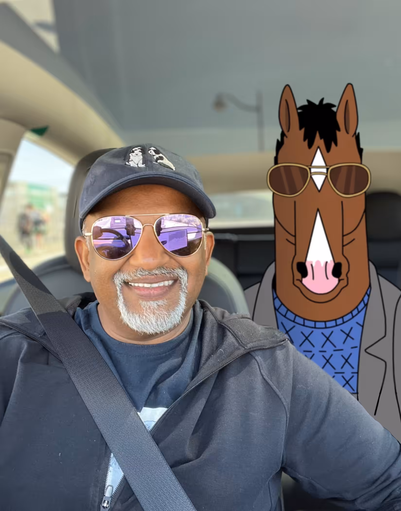Nik #memeMe: Nik with BoJack Horseman 