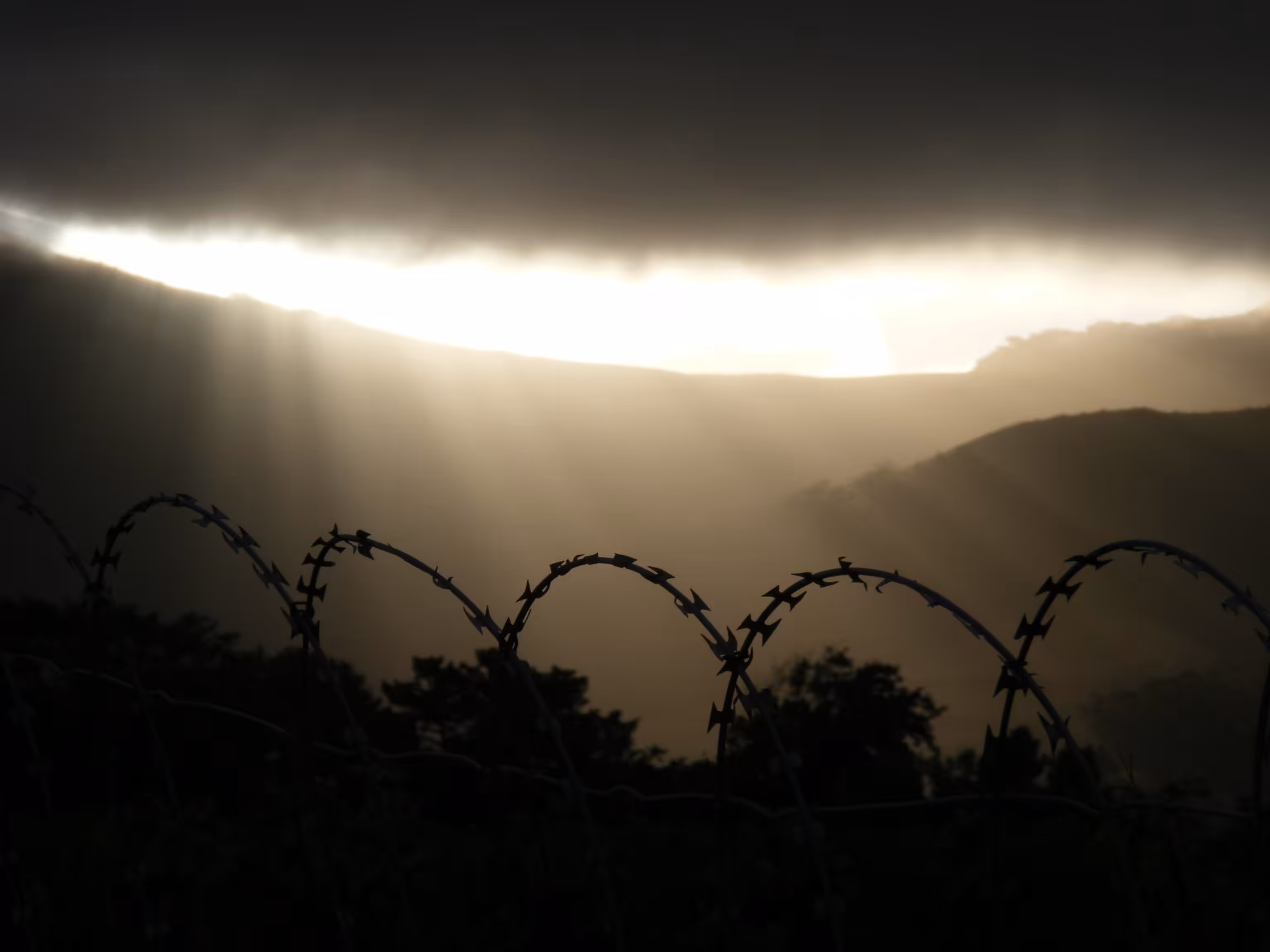 Freedom