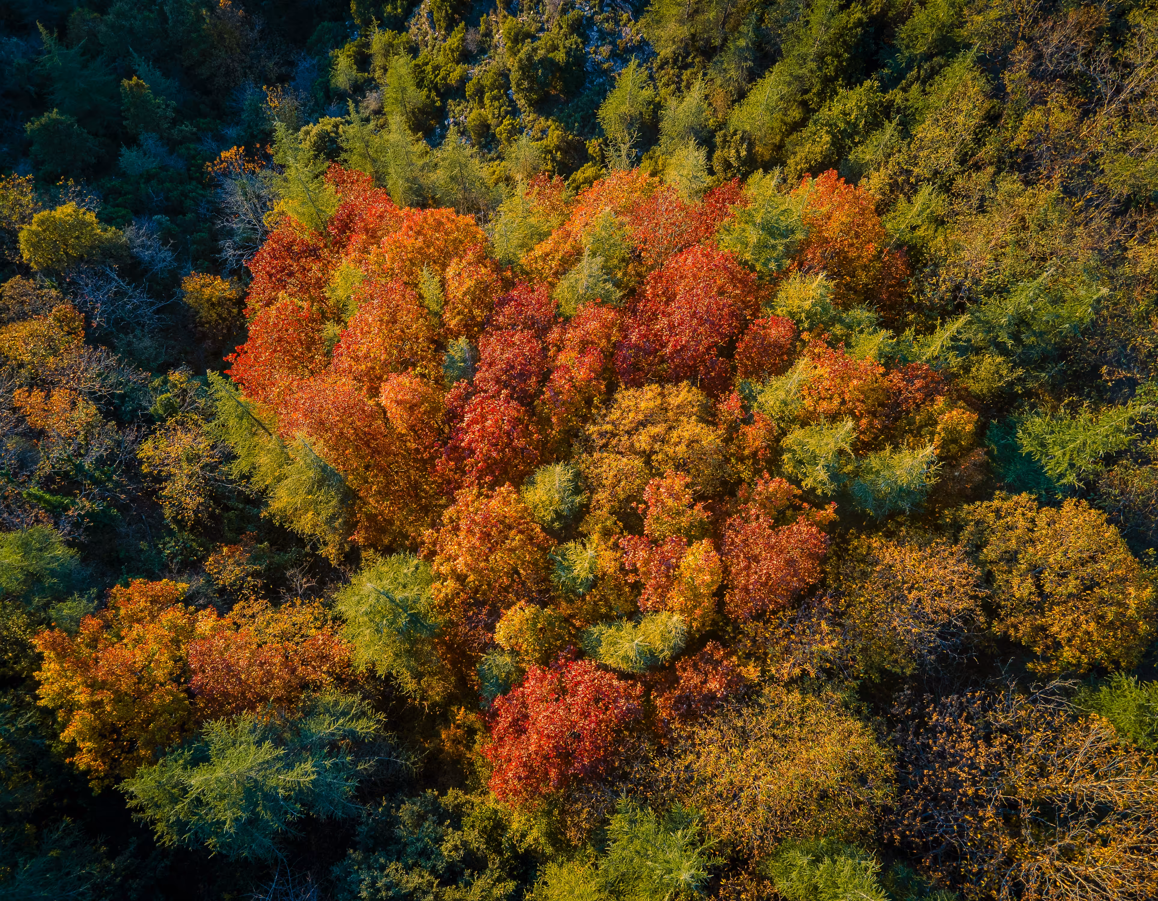 The Green symphony #9