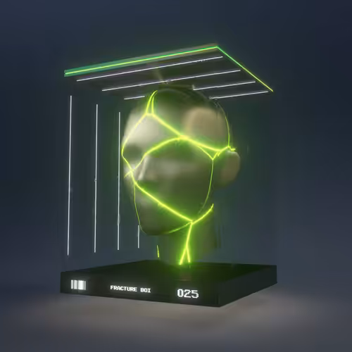 Fracture Boi: FRACTURE BOI - 025