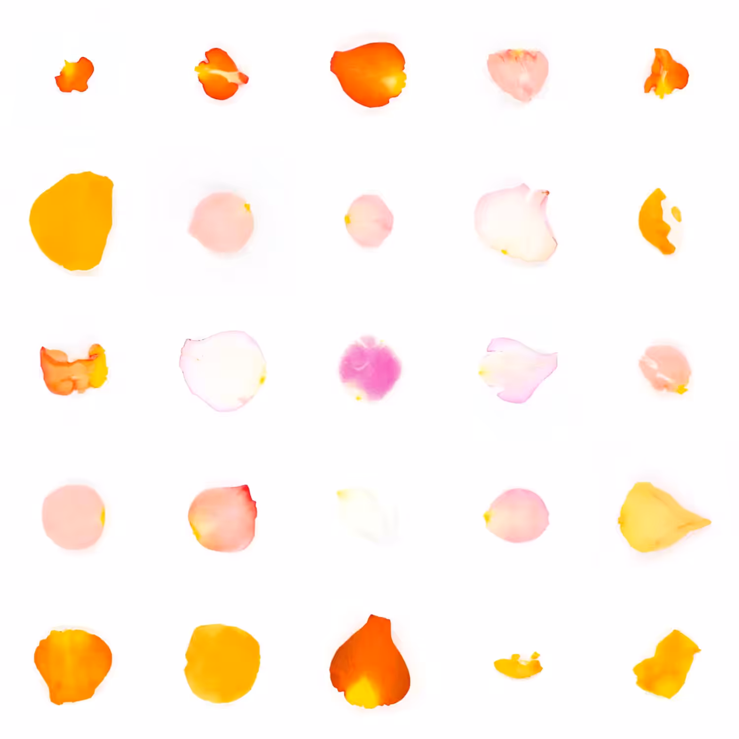 Infinite Petals 5x5#20898