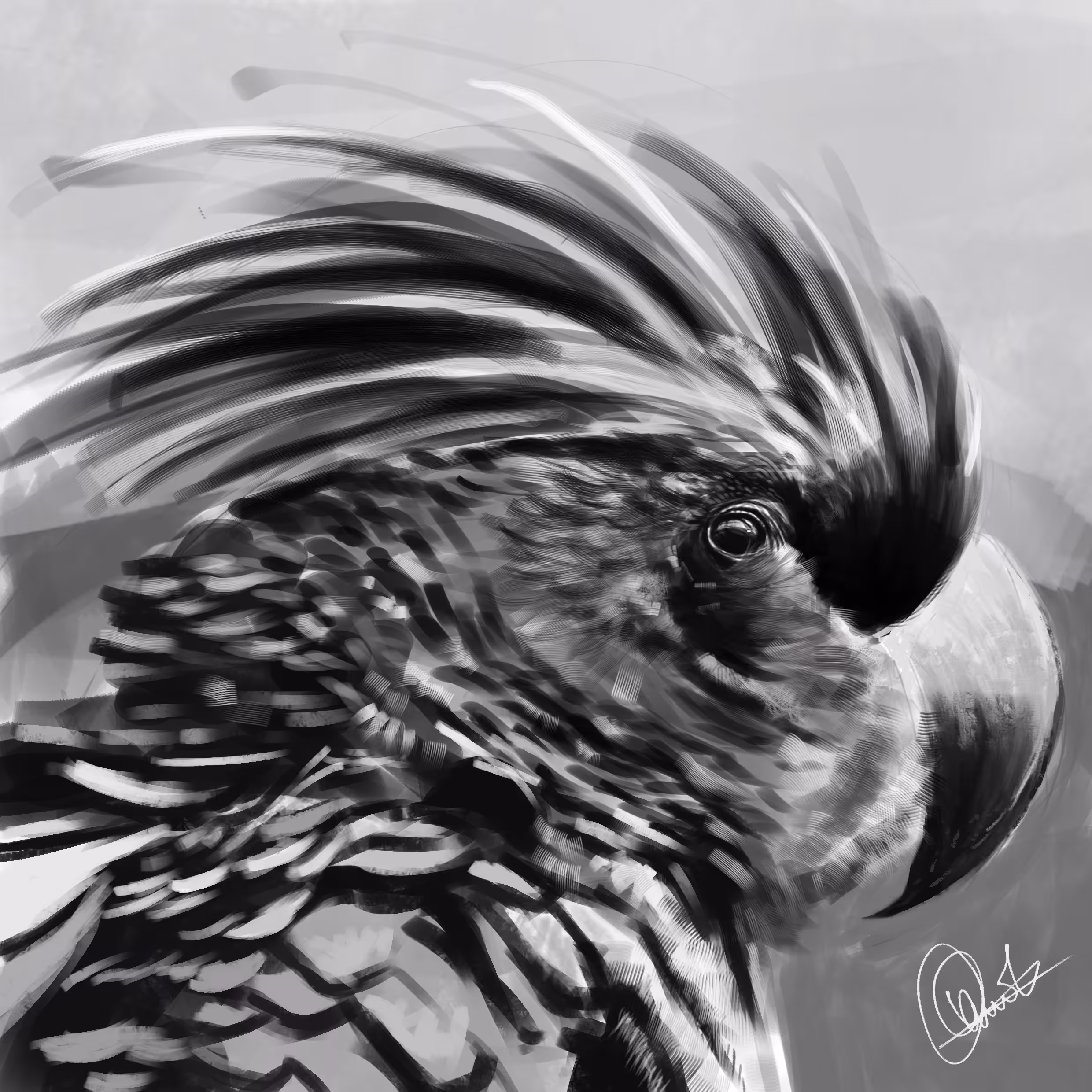 BIRDIE