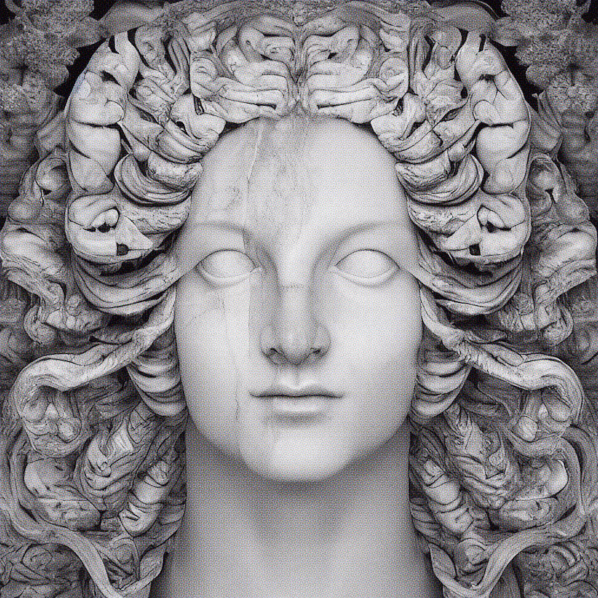 Human_013