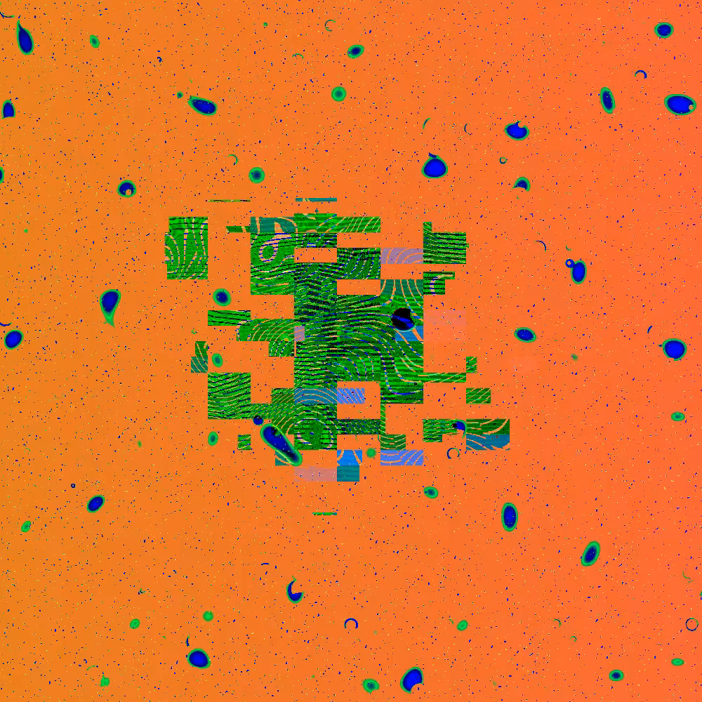 Seed and Spores #18