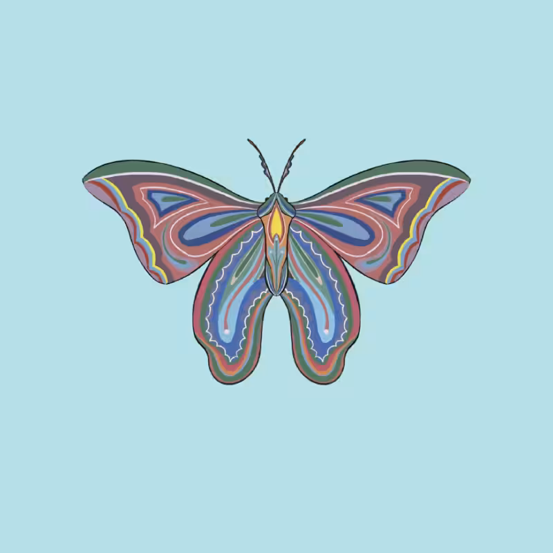 The Moth Experiment 2.0 P2 #18